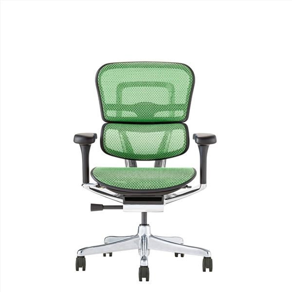 高機能 オフィスチェア デスクチェア [ロータイプ ブラックフレームxグリーン] 肘付き リクライニング エルゴヒューマン プロ2