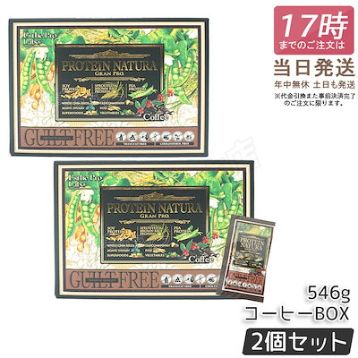 ゆめのポプリノート ピチレディシリーズ PICHI LADY 森田洋子 美品