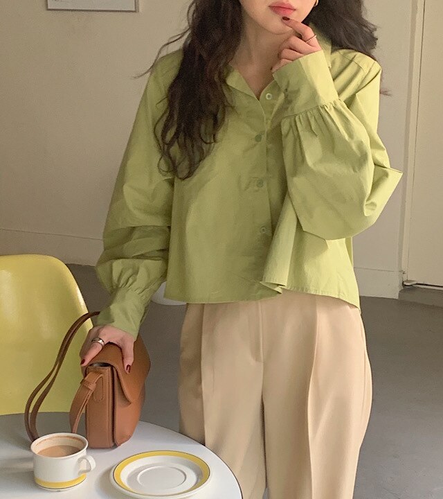 ２色 トップス シャツ ブラウス レディース 春 夏 カジュアル 長袖 ショート丈 長袖 Vネック 襟付き グリーン ピンク ワンサイズ ゆったり かわいい 大人可愛い シンプル カジュアル 大人 上