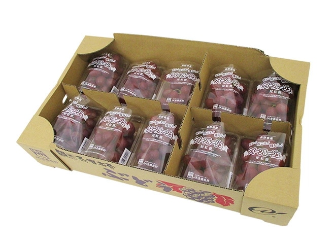 長野県 =クイーンルージュ= 秀品 10pc 約3.5kg パック入り 赤ぶどう 予約 9月中旬以降