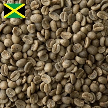 コーヒー生豆 1kg ハイマウンテン ジャマイカ 大山珈琲