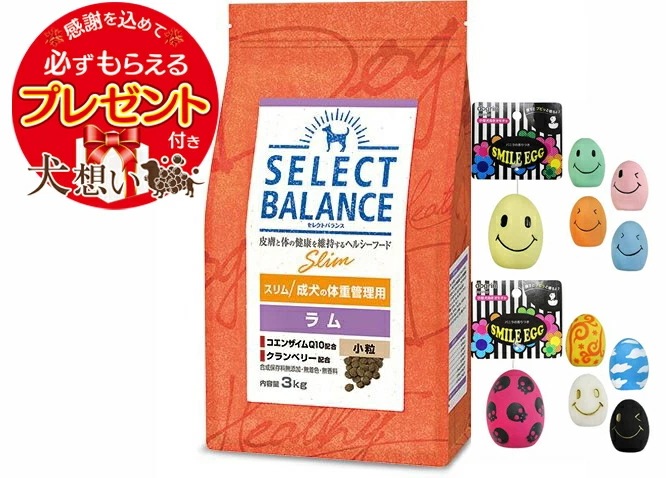 【プレゼント付】セレクトバランス スリム ラム 小粒 成犬の体重管理用 3kg【スマイルエッグ付】