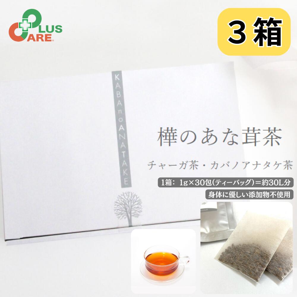 樺のあな茸茶 カバノアナタケ茶 1g×30包入 3箱セット プラスケア 公式 チャーガ茶 ノンカフェイン ティーバック 酵素 ミネラル 食物繊維 国産 無添加 健康茶 お茶 チャーガ 健康茶 国産 北