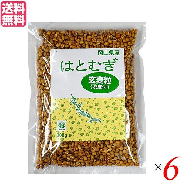 はと麦 はとむぎ 玄麦粒渋皮付 300g TAC21 6個セット