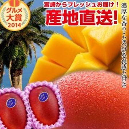 宮崎完熟マンゴー大玉2玉入り 宮崎からお届けする南国の香り・とろける美味しさ がいっぱいの完熟マンゴー お中元 青果物 フルーツギフト 父の日