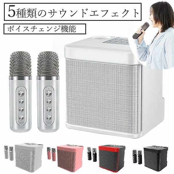 カラオケセット 拡声器 スピーカーセット 家庭用 ワイヤレスマイク2本