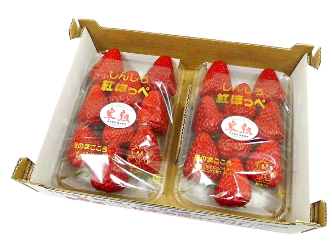 愛知 ファームトヨヒロ産 =寒熟いちご（完熟イチゴ）= 約300g x2pc 予約 2月以降 5,621円