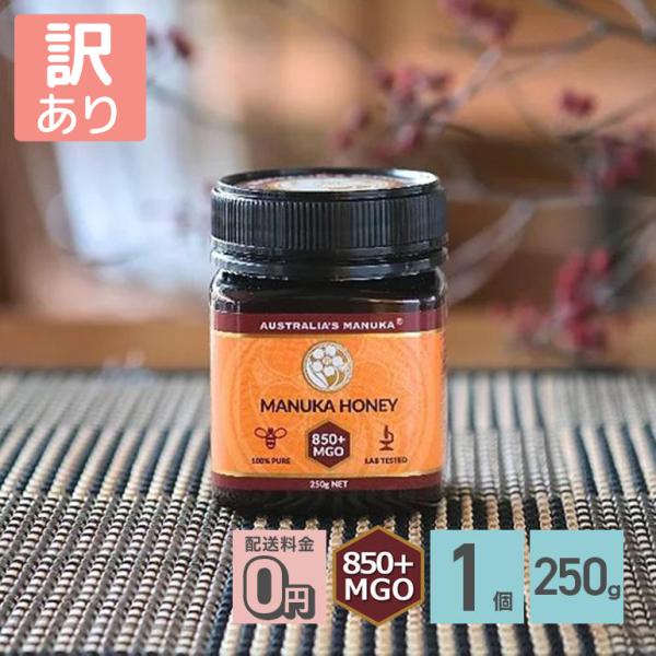 【訳あり/賞味期限 2025年6月16日】アクティブ マヌカハニー MGO850+ 250g 1個 マヌカハニー