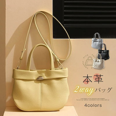 アトリエgg 犬服 ロリポップキャンディータートル アトリエgg