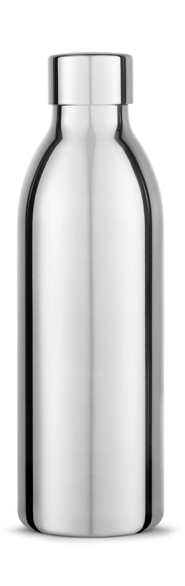 aarke (アールケ) 国内正規品 カーボネーター3専用 ステンレススチールボトル (450ml) ステンレスボトル ステンレス製 シルバー 保冷 持ち運び