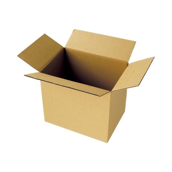TANOSEE 宅配用ダンボール箱 100-B4 1セット（60枚：20枚x3パック）