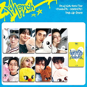 stray kids celebrate