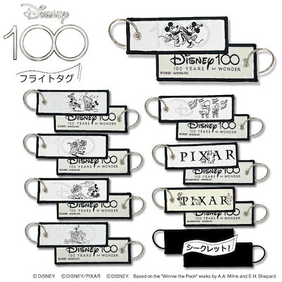 ディズニー100 サプライまとめ ディズニー100 サプライズカプセル シリーズ1 | VARIETY