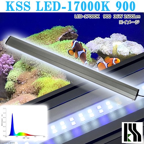 興和　ＫＳＳ　ＬＥＤ－１７０００Ｋ　９００　９０ー１００ｃｍ水槽用　ライト　熱帯魚　アクアリウムライト　照明　ＣＲＣ10―15―10―50―10