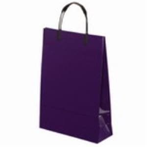 （業務用3セット）東京ユニオン ラミネートバッグ 016 小 紺 5枚