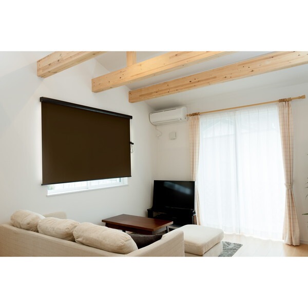Fullness L3526 RSエクシヴ 45X135 SBR 遮光ブラウン カバー付ロールスクリーン 遮光タイプ 45×135cm メーカー直送