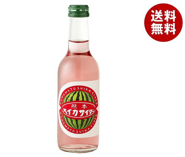 友桝飲料 熊本すいかサイダー 245ml瓶×24本入×(2ケース)