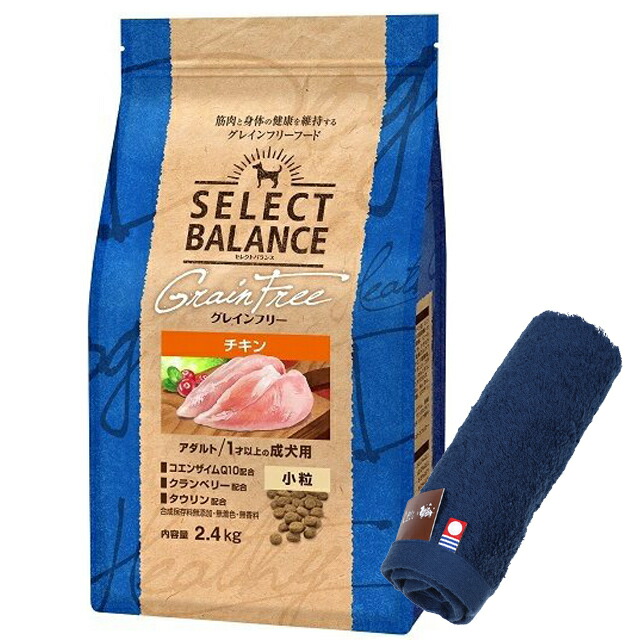 セレクトバランス グレインフリー アダルトチキン 小粒 2.4kg【犬想いオリジナル今治ハンドタオルセット】【タオルカラー ネイビー】