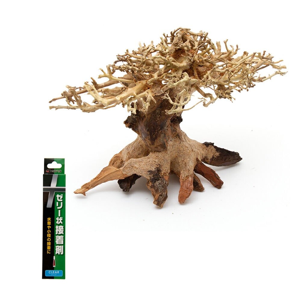 カミハタ　水景ＢＯＮＳＡＩ　榕樹（ガジュマル）Ｓ＆ゼリー状接着剤　５ｇ　クリア　流木　活着　レイアウト　水草　ＣＲＣ10―85―10―00―00