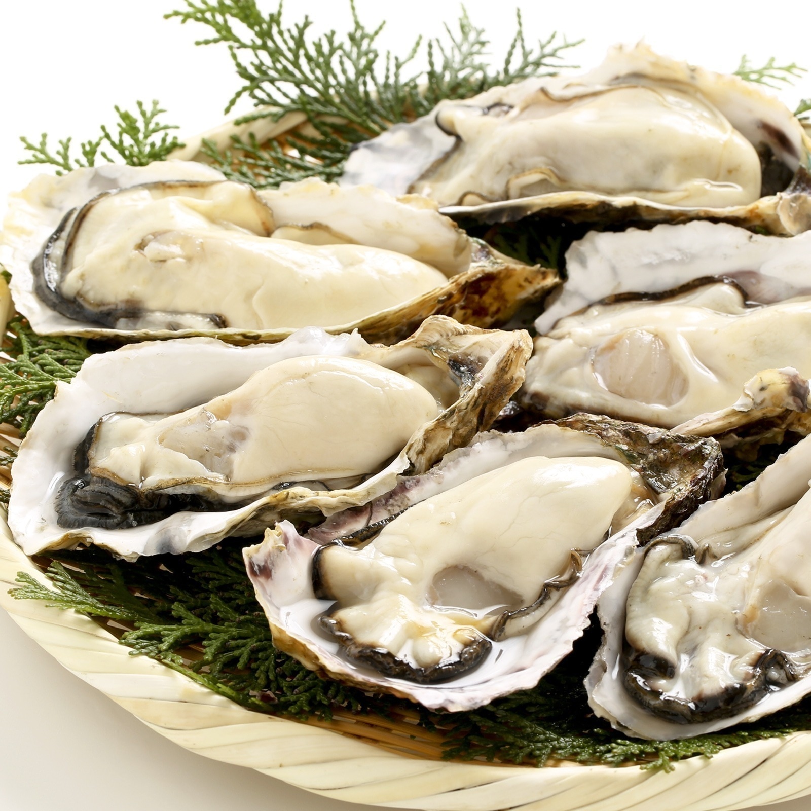 牡蠣 むき身 3kg (解凍後内容量 約2.4kg) 広島県海域で収穫 Lから2Lサイズ 国産 厳選牡蠣 加熱用 カキ 海鮮 シーフード