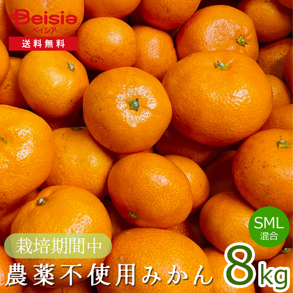 栽培期間中：農薬不使用みかん（S・M・L混合）8kg みかん 8kg 農薬不使用 栽培期間中 農薬不使用みかん S M L 混合 温州みかん 蜜柑 ミカン 家庭用 デザート フルーツ 果物 旬の味
