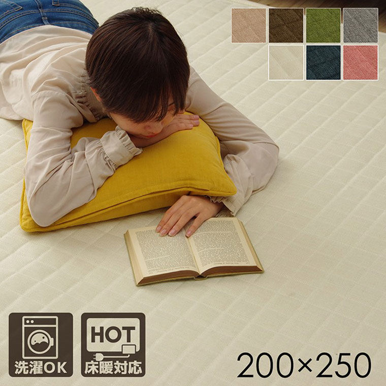 ラグ カーペット 長方形 3畳 洗える シンプル 光沢 無地 ベージュ ブラウン グリーン グレー アイボリー ネイビー ローズ 約200×250cm オールシーズン