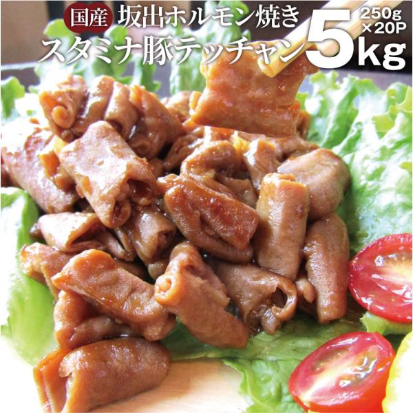 坂出ホルモン焼き スタミナ 国産 豚テッチャン 5kg (250g×20P) 焼肉 ホルモン焼き グルメ もつ キャンプ＊送料無料