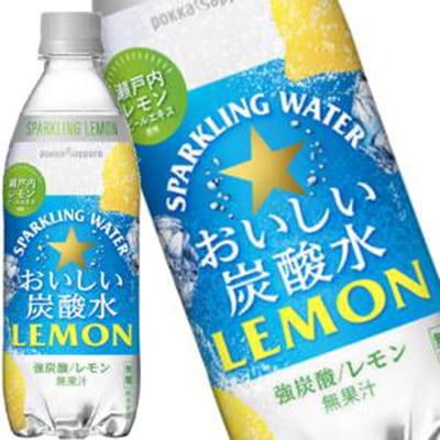 ポッカサッポロ おいしい炭酸水レモン 500mlPET48本［24本2箱］［賞味期限：3ヶ月以上］45営業日以内に出荷