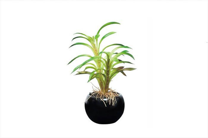 光触媒 カクタスインポット 史上一番安い 光触媒人工植物 造花 人工樹木 人工観葉植物 観葉植物 ギフト