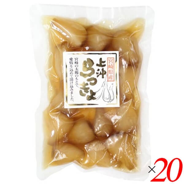 宮崎県産甘らっきょう 100g 20個セット 上沖産業