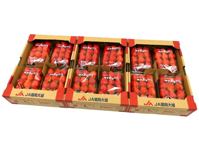 福岡産いちご =博多あまおう= 秀品 L/2Lサイズ 約270g x4パック x3箱 予約 1月以降