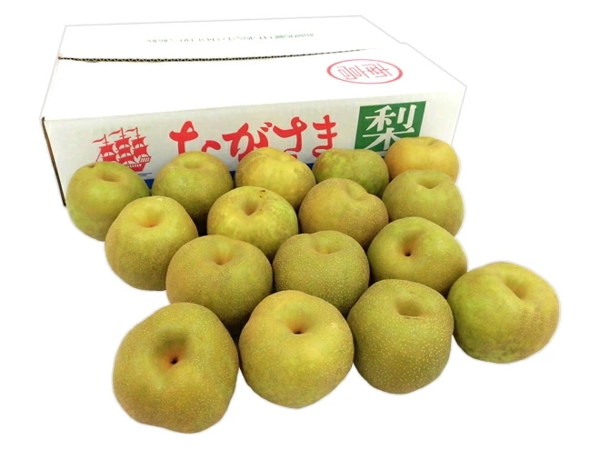 =夏の幸水梨= 訳あり 約5kg 大きさおまかせ 産地厳選 予約 7月以降
