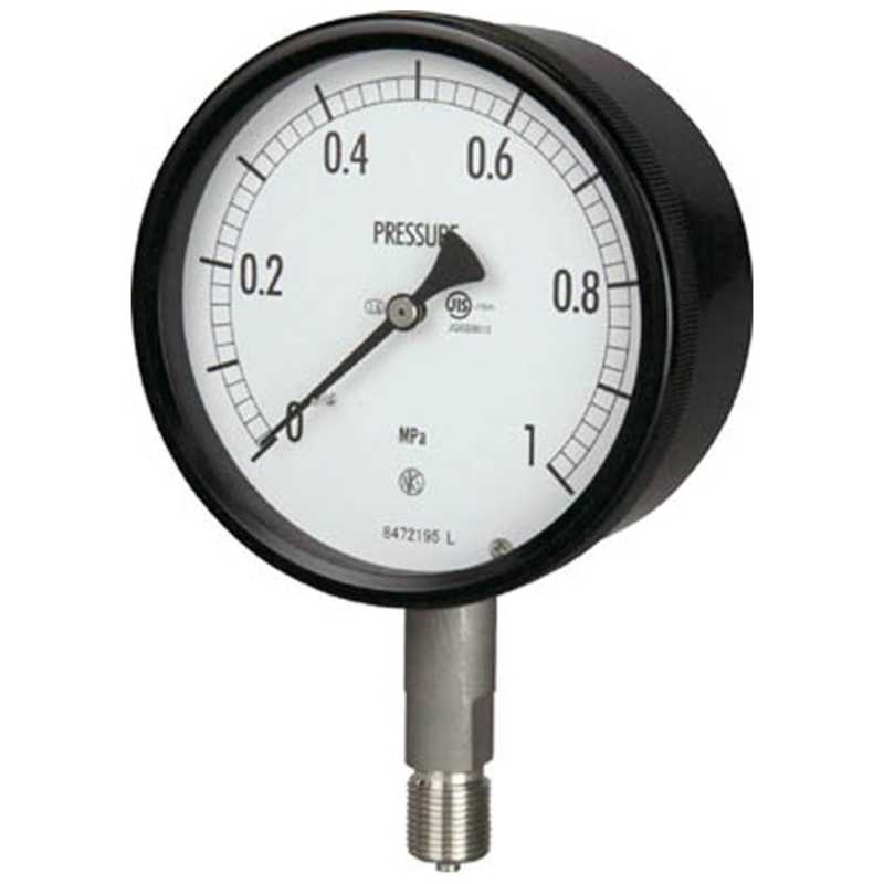 長野計器　密閉形圧力計　BE101336.0MP