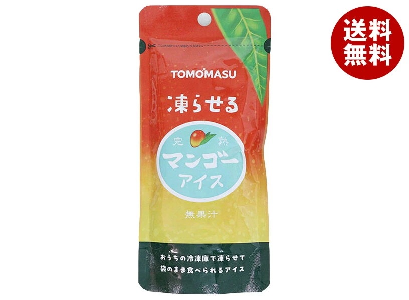 友桝飲料 マンゴーアイス 80gパウチ×36(12×3)本入×(2ケース)