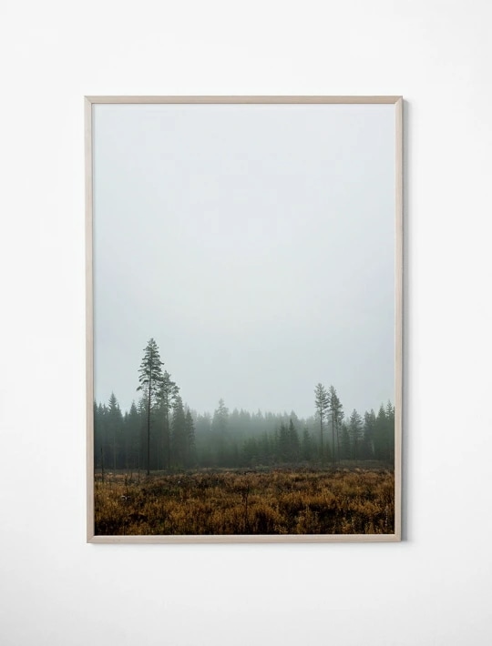 FINE LITTLE DAY SKOG POSTER アートプリント/ポスター