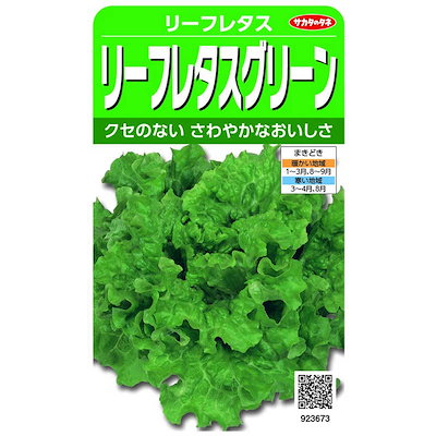 他サイト： サカタのタネ　実咲 リーフレタスグリーン リーフレタス　923673の商品画像