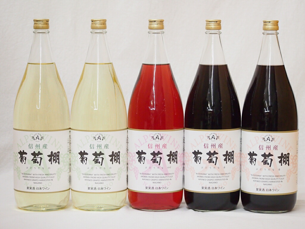 信州産葡萄棚セット 赤ワイン2本 白ワイン2本 ロゼワイン1本 中口(長野県)1800ml5