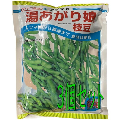 カネコ種苗 枝豆　エダマメ 湯あがり娘 2000粒　種子　3個セット