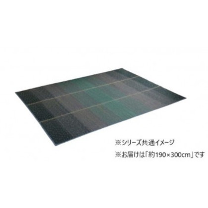 い草 ラグ NCXクリア 190×300cm BL 1070480045003 12,535円