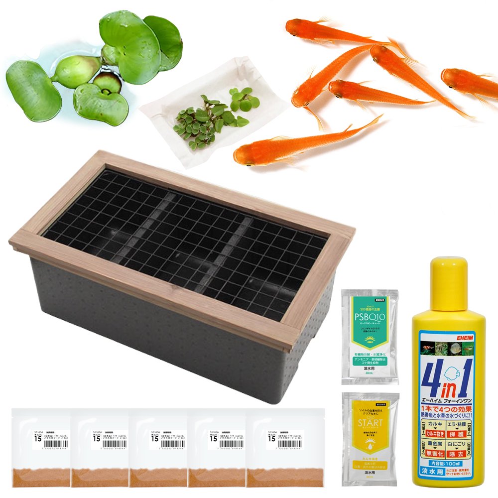 （めだか）（浮草）メダカの２世帯住宅　３ルーム　楊貴妃メダカ飼育セット　説明書付き＆木枠＋ネット　セット　本州四国限定　ＣＲＣ60―43―20―20―00