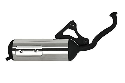 NBS バイクパーツセンター(Bike Parts Center) ステン巻きマフラー ホンダ ライブ Dio ZX/SR AF34/AF35用 2003