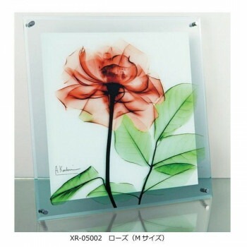 X RAY ガラス アート ローズ Mサイズ XR-05002