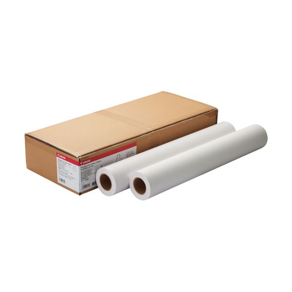 （まとめ）キヤノン スタンダード普通紙2LFM-PPS2/A2/64 A2ロール 420mm×50m 8738B006 1箱(2本)(×2セット)