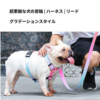 Qoo10 犬首輪の商品リスト 人気順 お得なネット通販サイト