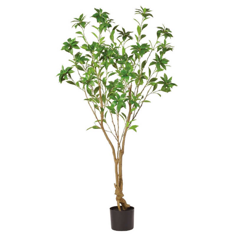 アスカ商会　フェイクグリーン アセビ グリーン　A-51061-051A