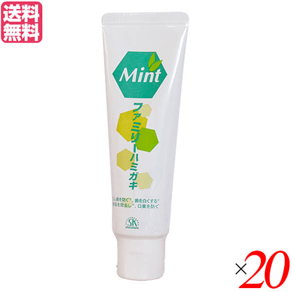 歯磨き粉 ハミガキ 歯みがき エスケー ファミリーハミガキ 140g ２０個セット