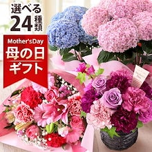 母の日 2025 プレゼント 花 ギフト 鉢植え アジサイ アレンジメント スタンディングブーケ 花束 カーネーション イベントギフトA