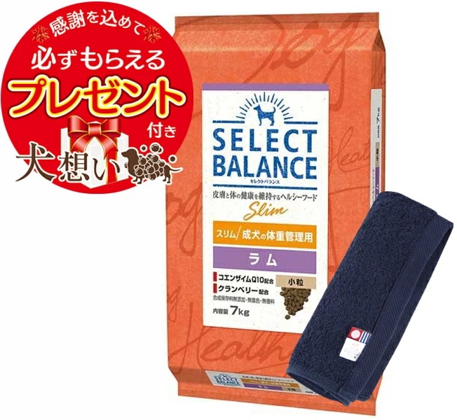 【プレゼント付】セレクトバランス スリム ラム 小粒 成犬の体重管理用 7kg【犬想いオリジナル今治ハンドタオルセット】【タオルカラー ネイビー】【正規品】