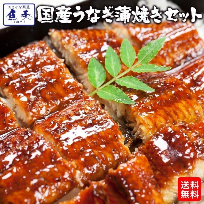 薩摩川内 国産うなぎ 蒲焼 お試しセット 鰻 長焼き約160g カット約80g 肝焼90g タレ