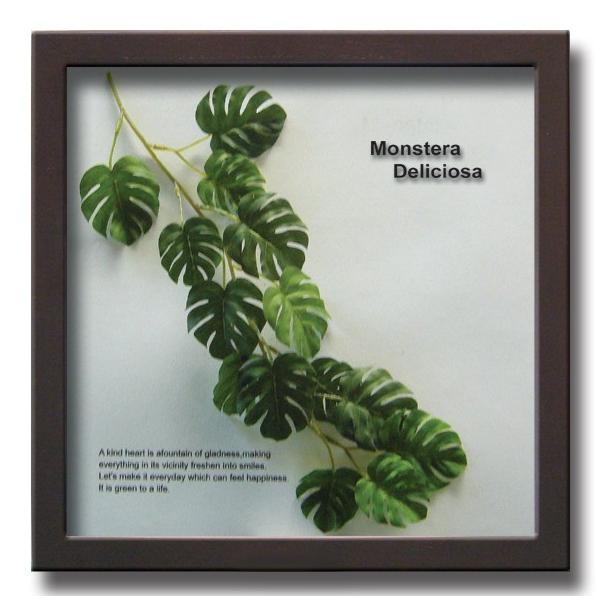 アートフレーム リーフパネル グリーン おしゃれ ウォールデコレーション ナチュラル 壁掛け 飾り 観葉植物 モンステラ MonsteraDeliciosa3 325x325mm